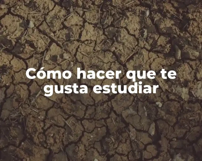 Cómo hacer que te gusta estudiar