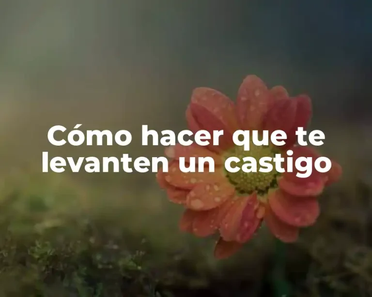 Cómo hacer que te levanten un castigo