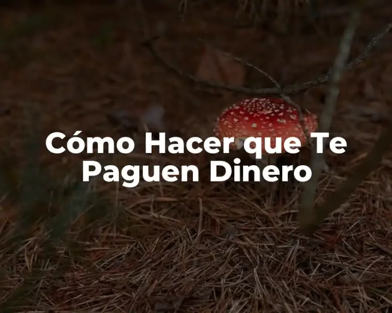 Cómo Hacer que Te Paguen Dinero