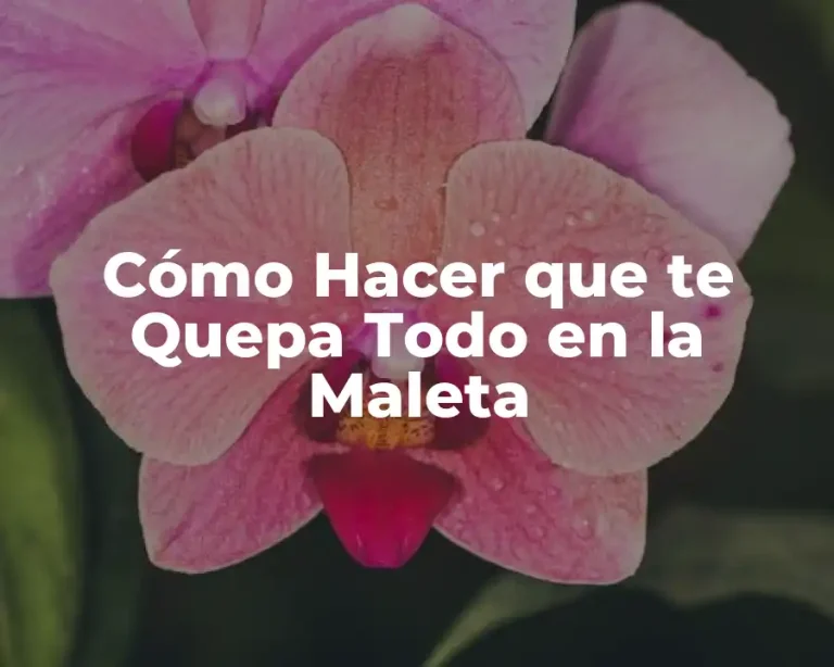 Cómo Hacer que te Quepa Todo en la Maleta