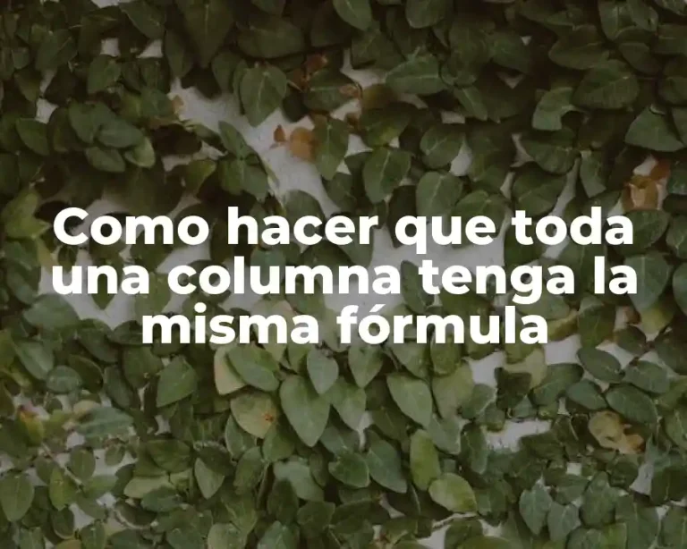Como hacer que toda una columna tenga la misma fórmula