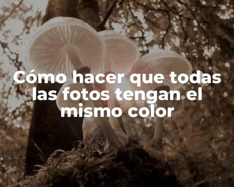 Cómo hacer que todas las fotos tengan el mismo color