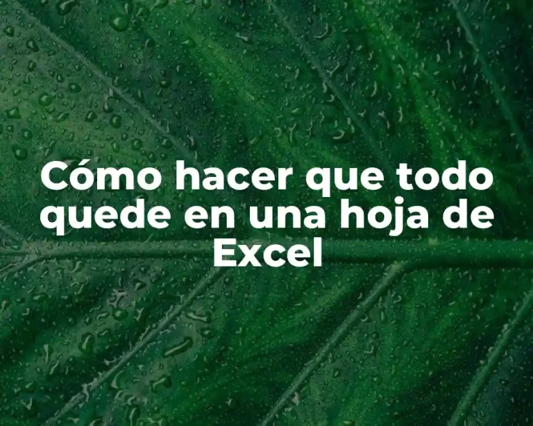 Cómo hacer que todo quede en una hoja de Excel