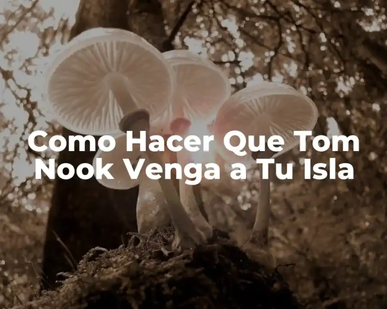 Como Hacer Que Tom Nook Venga a Tu Isla