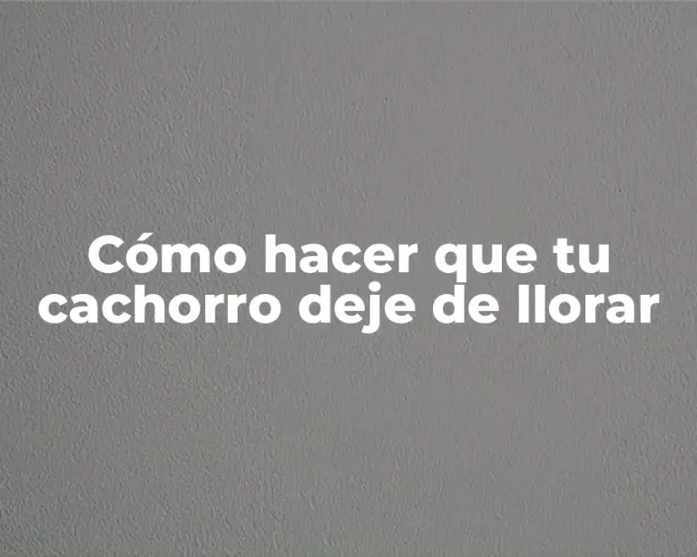 Cómo hacer que tu cachorro deje de llorar