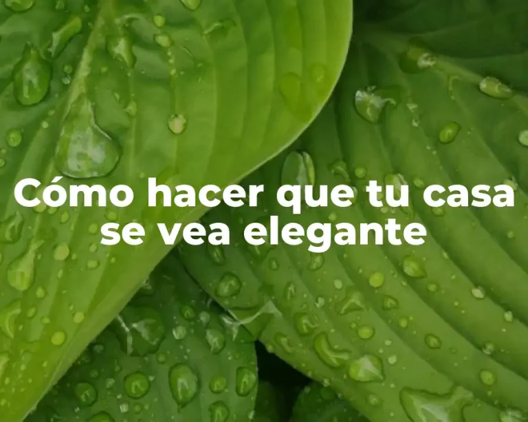 Cómo hacer que tu casa se vea elegante