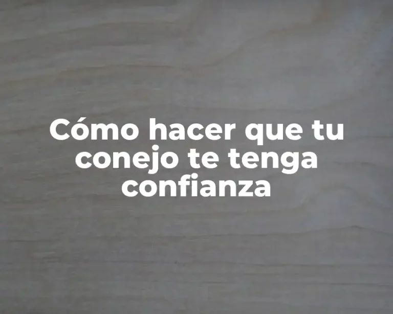 Cómo hacer que tu conejo te tenga confianza