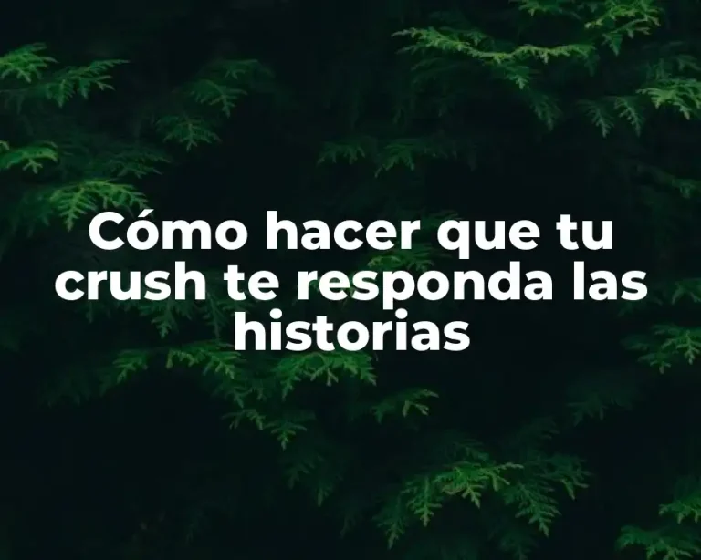 Cómo hacer que tu crush te responda las historias