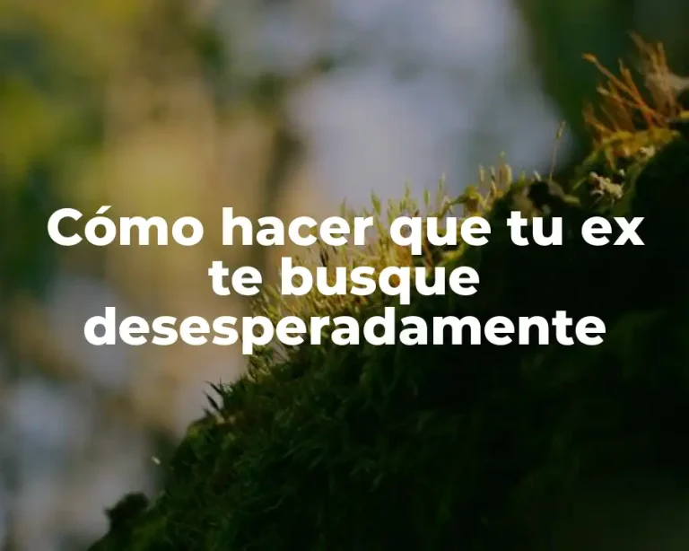 Cómo hacer que tu ex te busque desesperadamente