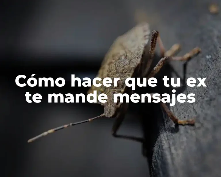 Cómo hacer que tu ex te mande mensajes