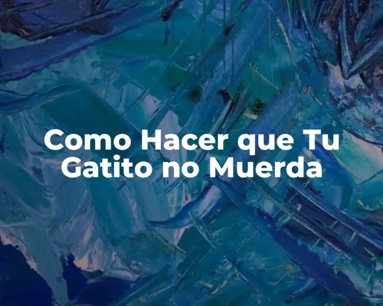 Como Hacer que Tu Gatito no Muerda