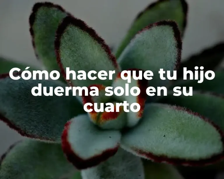 Cómo hacer que tu hijo duerma solo en su cuarto