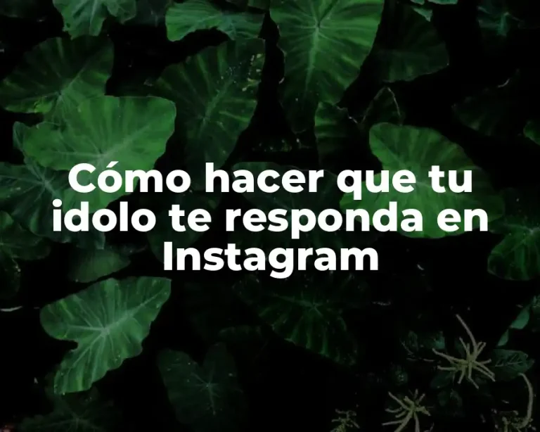 Cómo hacer que tu idolo te responda en Instagram