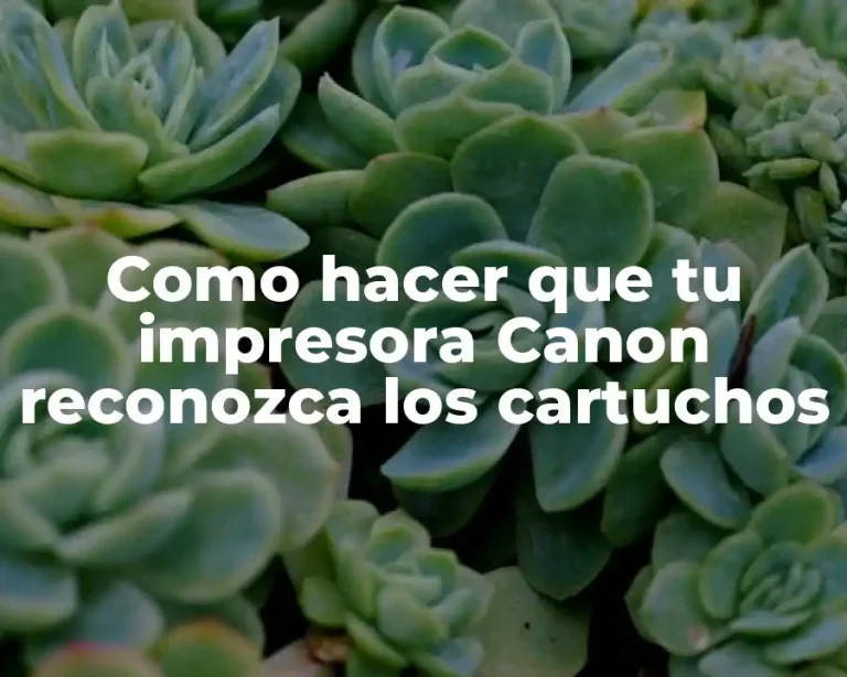 Como hacer que tu impresora Canon reconozca los cartuchos