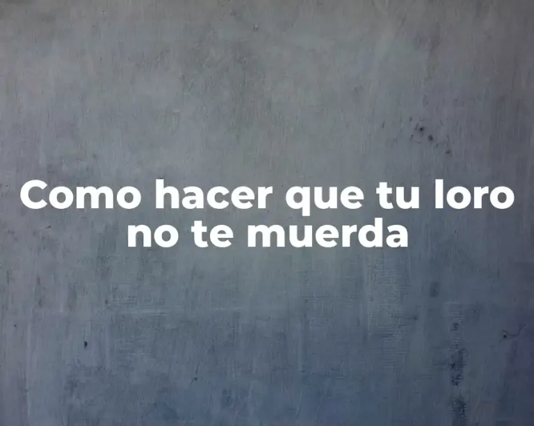 Como hacer que tu loro no te muerda
