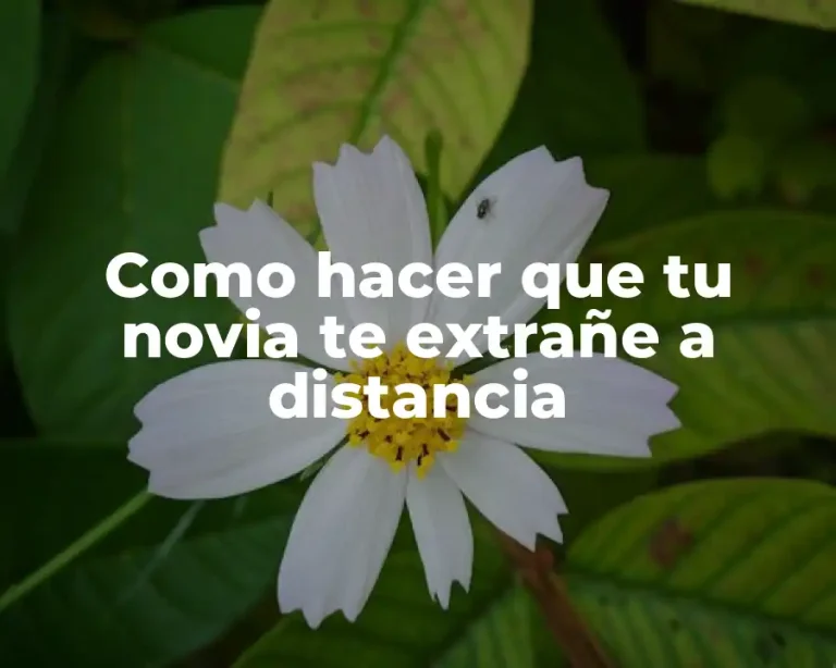 Como hacer que tu novia te extrañe a distancia