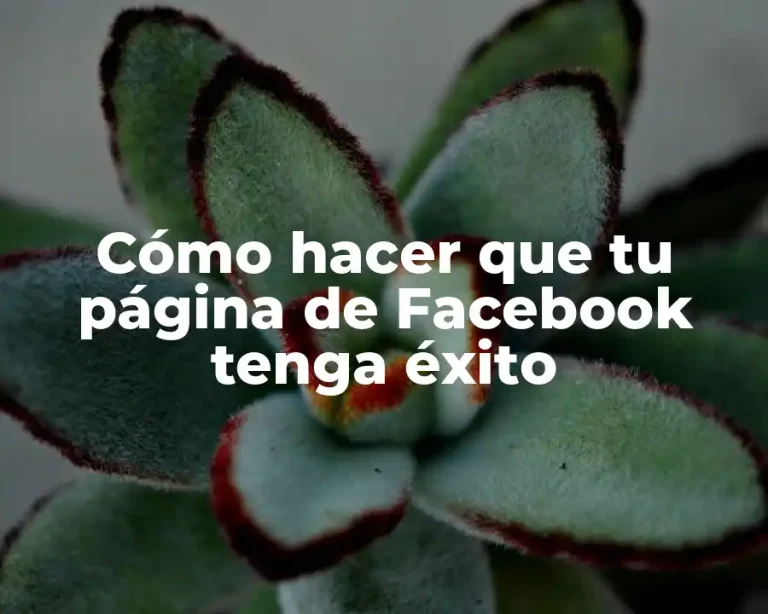 Cómo hacer que tu página de Facebook tenga éxito