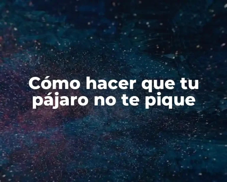 Cómo hacer que tu pájaro no te pique