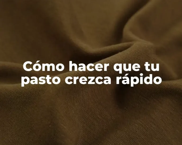 Cómo hacer que tu pasto crezca rápido