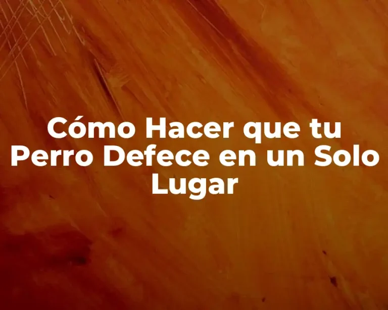 Cómo Hacer que tu Perro Defece en un Solo Lugar