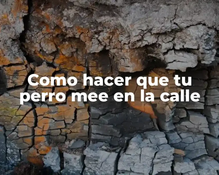 Como hacer que tu perro mee en la calle