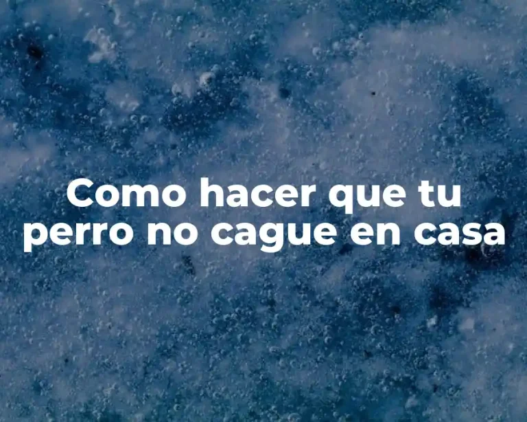 Como hacer que tu perro no cague en casa
