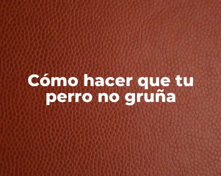 Cómo hacer que tu perro no gruña