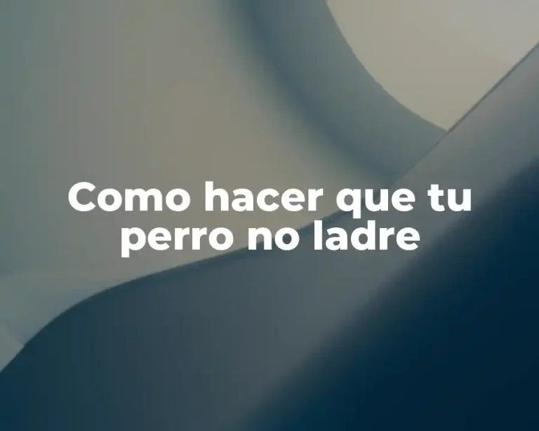 Como hacer que tu perro no ladre