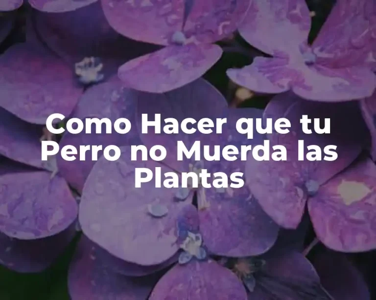 Como Hacer que tu Perro no Muerda las Plantas