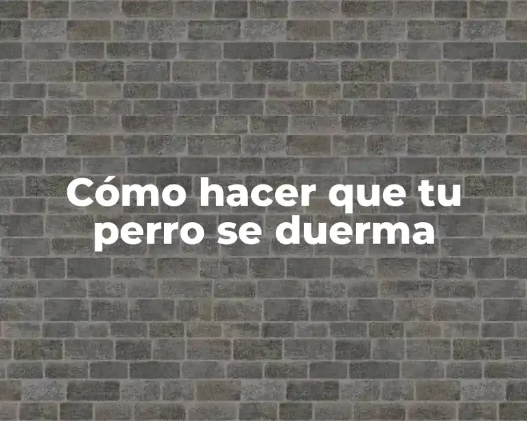 Cómo hacer que tu perro se duerma