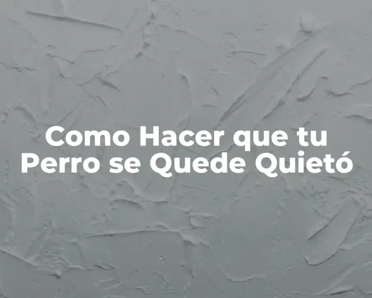 Como Hacer que tu Perro se Quede Quietó
