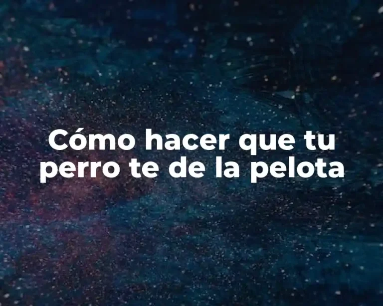 Cómo hacer que tu perro te de la pelota