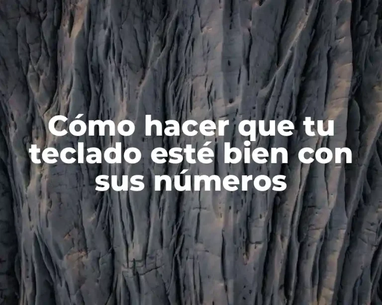 Cómo hacer que tu teclado esté bien con sus números