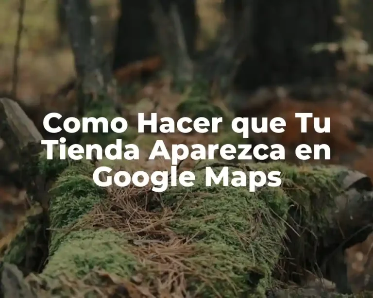 Como Hacer que Tu Tienda Aparezca en Google Maps