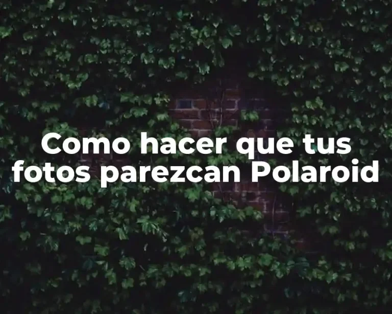 Como hacer que tus fotos parezcan Polaroid