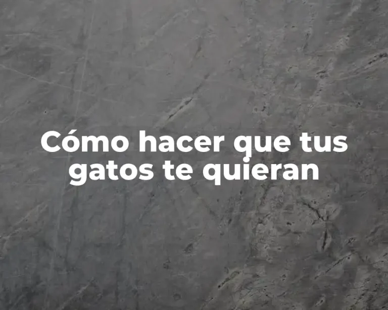Cómo hacer que tus gatos te quieran