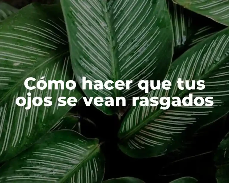 Cómo hacer que tus ojos se vean rasgados