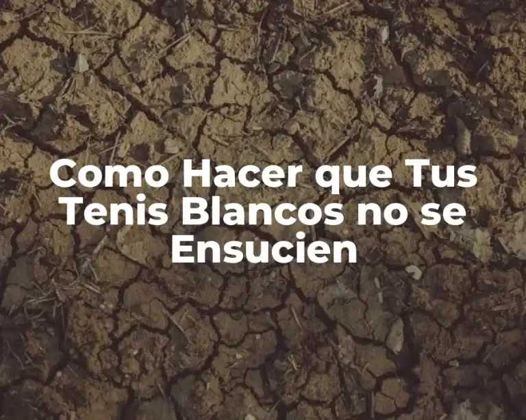 Como Hacer que Tus Tenis Blancos no se Ensucien