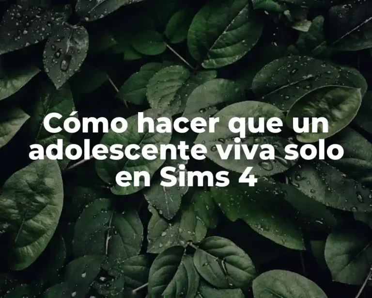 Cómo hacer que un adolescente viva solo en Sims 4