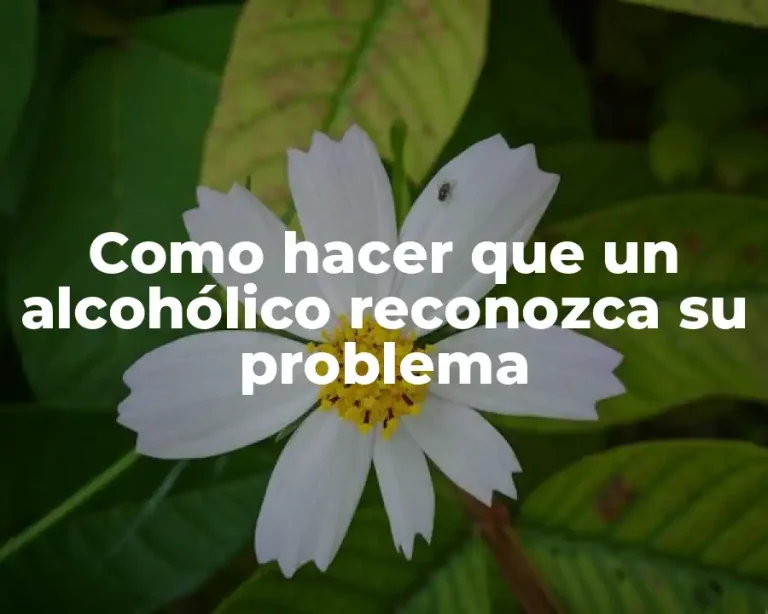 Como hacer que un alcohólico reconozca su problema