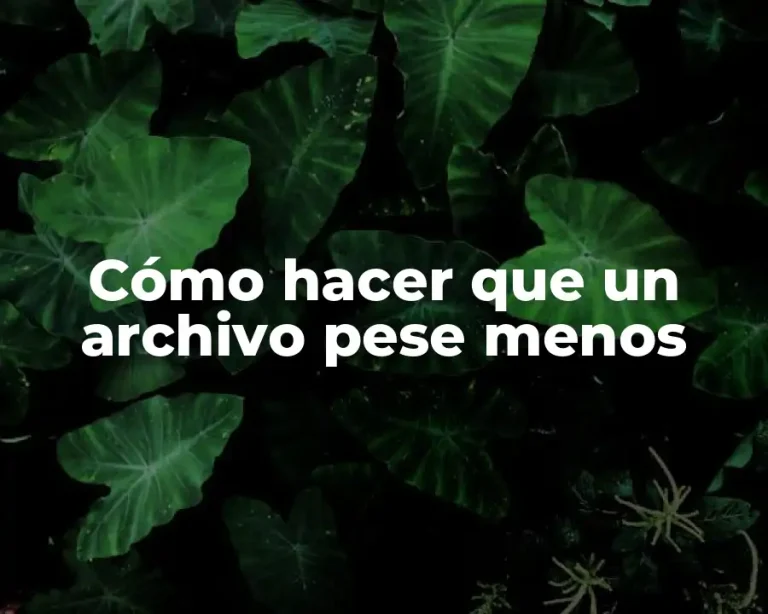 Cómo hacer que un archivo pese menos