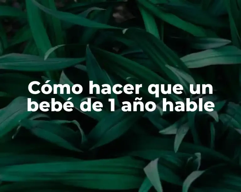 Cómo hacer que un bebé de 1 año hable