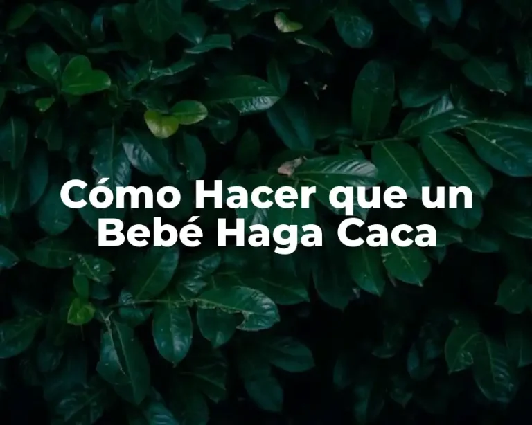 Cómo Hacer que un Bebé Haga Caca
