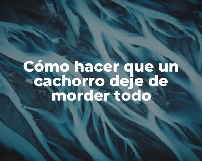 Cómo hacer que un cachorro deje de morder todo