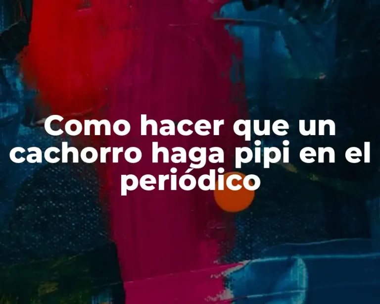 Como hacer que un cachorro haga pipi en el periódico