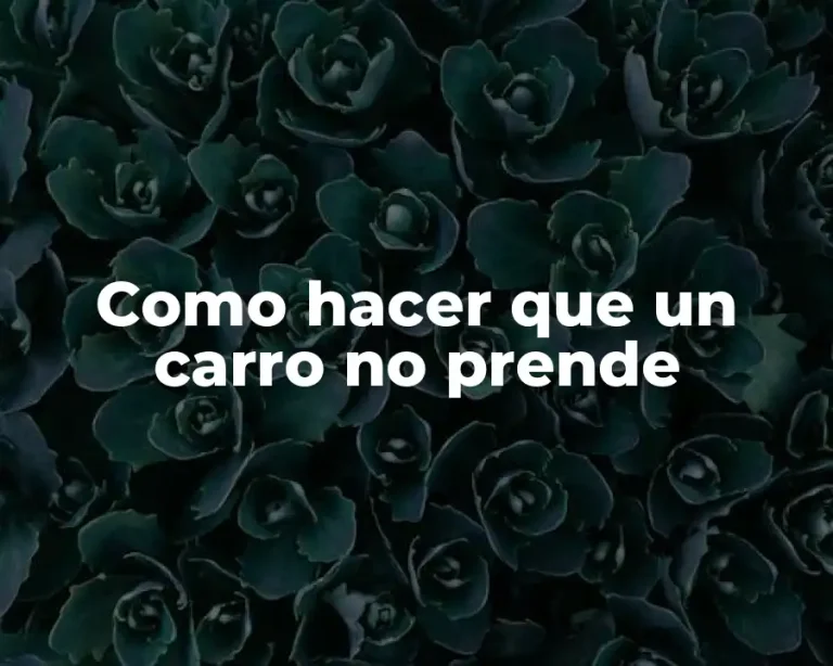 Como hacer que un carro no prende