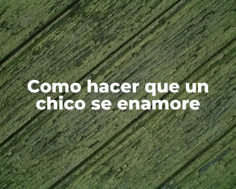 Como hacer que un chico se enamore