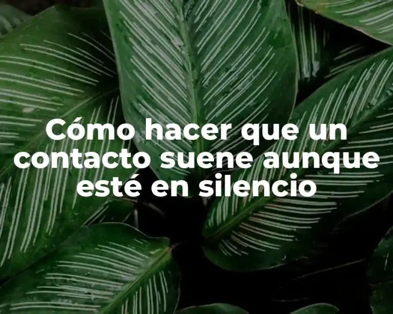 Cómo hacer que un contacto suene aunque esté en silencio