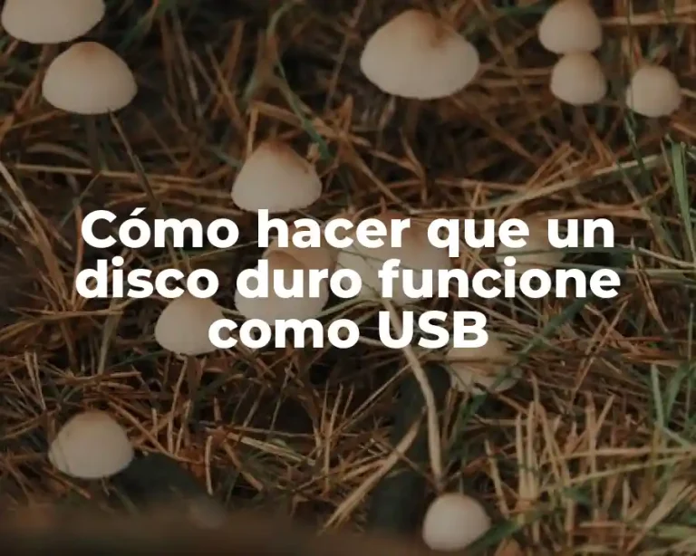 Cómo hacer que un disco duro funcione como USB
