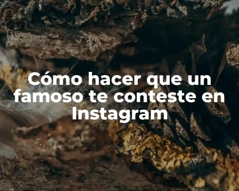 Cómo hacer que un famoso te conteste en Instagram